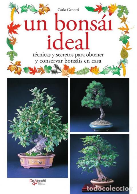 Libri: Un bons&aacute;i ideal - Carlo Genotti