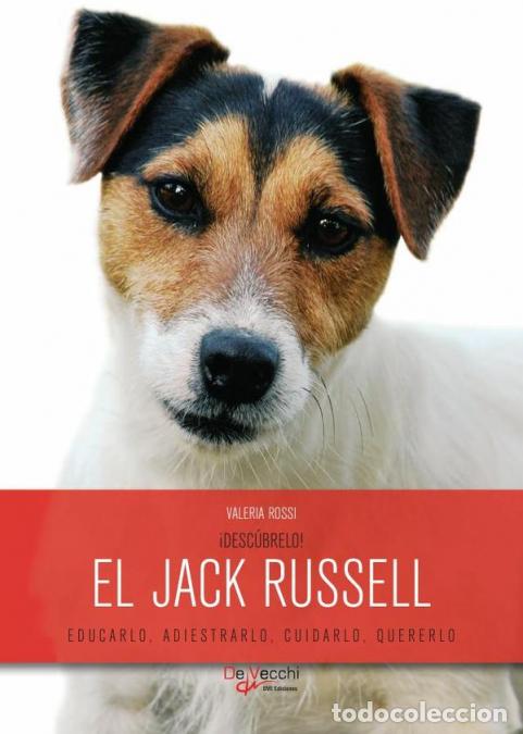 Libri: &iexcl;Desc&uacute;brelo! El Jack Russell - Valeria Rossi