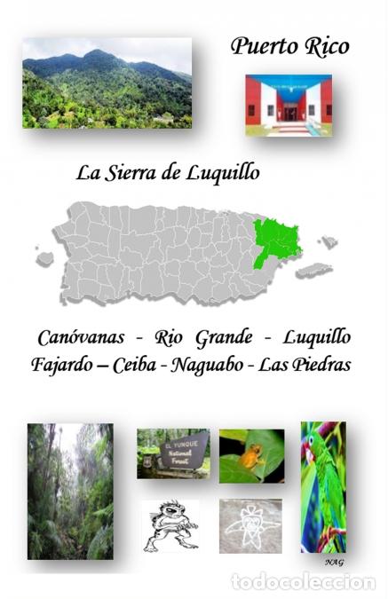 Livros: La Sierra de Luquillo, Puerto Rico - Nereida Ayala Guzman