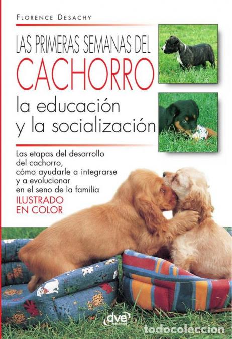 Livres: Las primeras semanas del cachorro - Florence Desachy