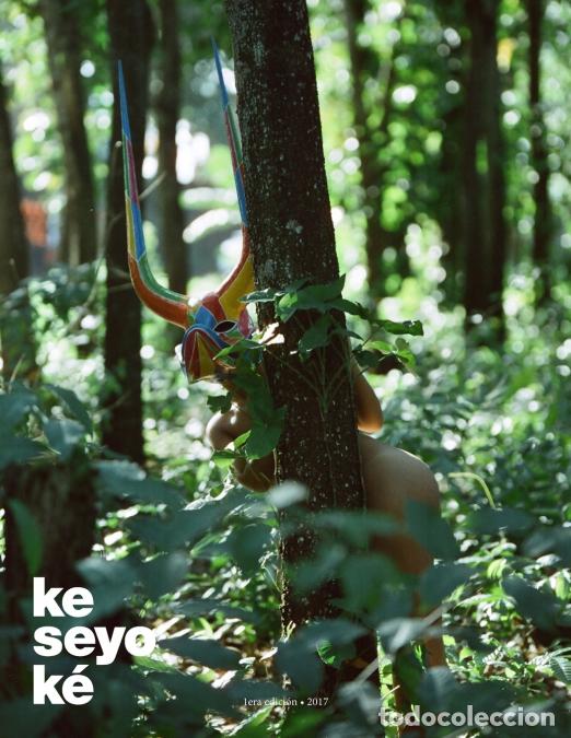 B&uuml;cher: Keseyoke - Ricardo Dom&iacute;nguez,Andres Miolan