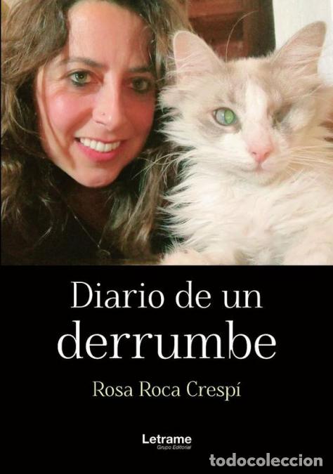 B&uuml;cher: Diario de un derrumbe - Rosa Roca Cresp&iacute;