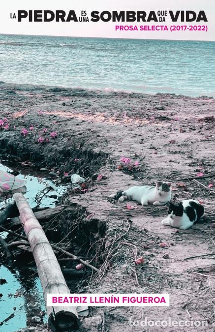 Livres: La piedra es una sombra que da vida - Beatriz Llen&iacute;n Figueroa