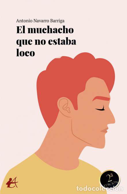 Libri: El muchacho que no estaba loco - Antonio Navarro Barriga