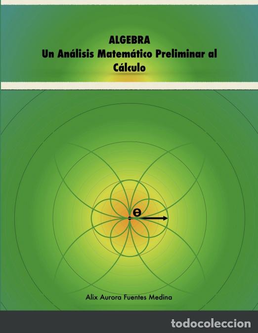 Libri: ALGEBRA - Un An&aacute;lisis Matem&aacute;tico Preliminar al C&aacute;lculo - Alix Fuentes