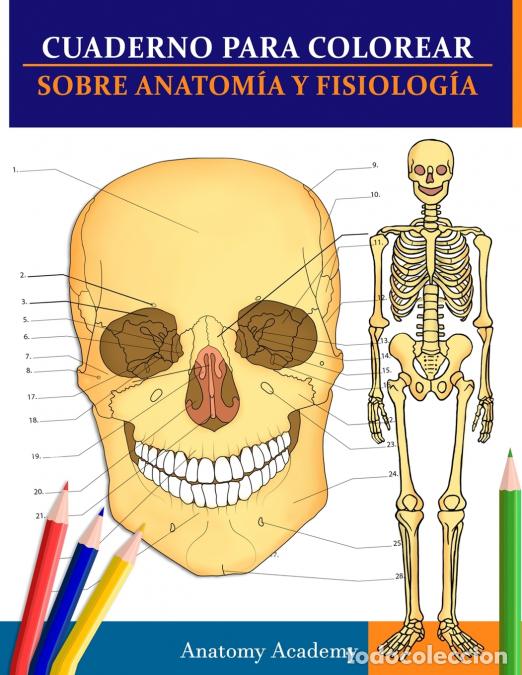 Livros: Cuaderno para colorear sobre anatom&iacute;a y fisiolog&iacute;a - La gu&iacute;a de estudio de nivel universitario esenc