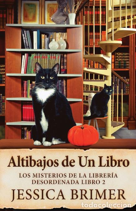 Libri: Altibajos de Un Libro - Jessica Brimer,Enrique Laurentin