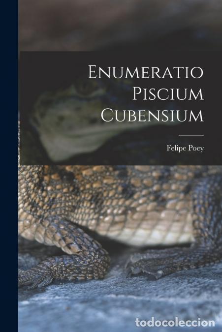 B&uuml;cher: Enumeratio Piscium Cubensium - Felipe Poey