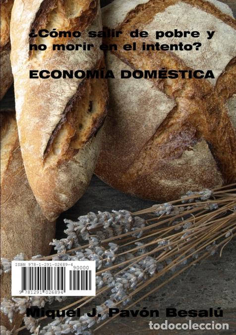 Libros: &iquest;C&oacute;mo salir de pobre y no morir en el intento? - Econom&iacute;a dom&eacute;stica - Miquel J. Pav&oacute;n Besal&uacute;