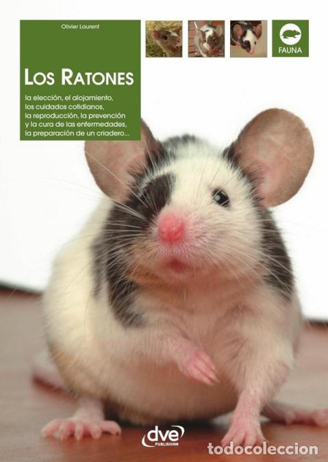 Libri: Los ratones - Olivier Laurent