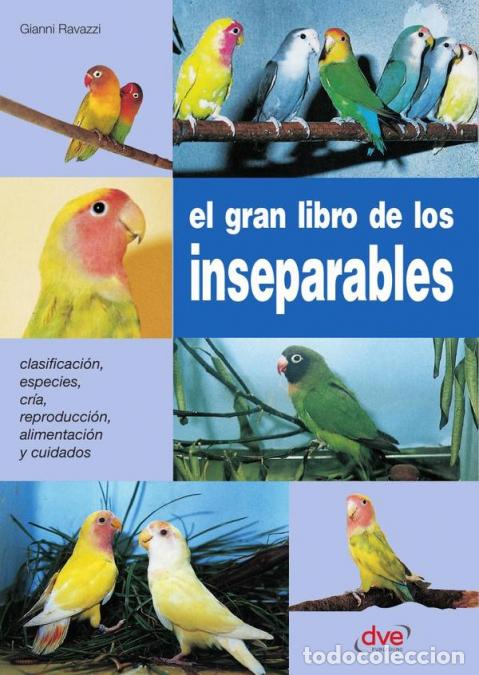 Libri: El gran libro de los inseparables - Gianni Ravazzi