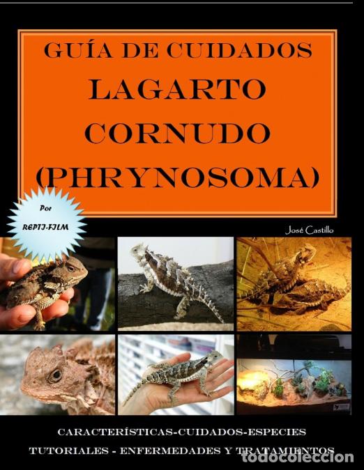 Libros: Gu&iacute;a de cuidados del lagarto cornudo (Phrynosoma) Versi&oacute;n full color - Jos&eacute; Castillo