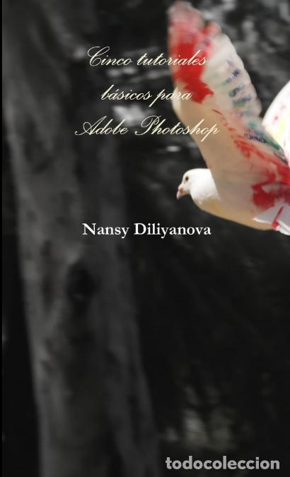 Libri: Cinco tutoriales b&aacute;sicos para Adobe Photoshop - Nansy Diliyanova