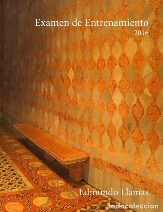 books: Examen de Entrenamiento 2016 - Edmundo Llamas