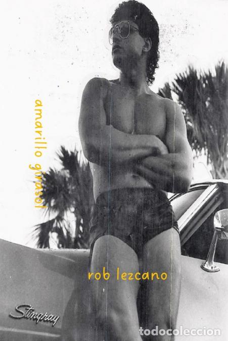 Libros: amarillo girasol - rob lezcano - Foto 1