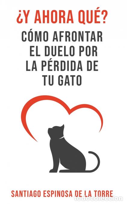 B&uuml;cher: &iquest;Y ahora qu&eacute;? - Santiago Espinosa de la Torre