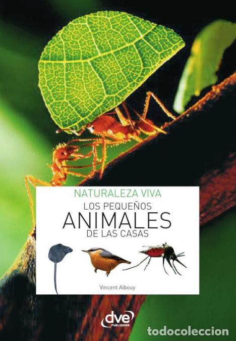 Libros: Los peque&ntilde;os animales de la casa - Vincent Albouy