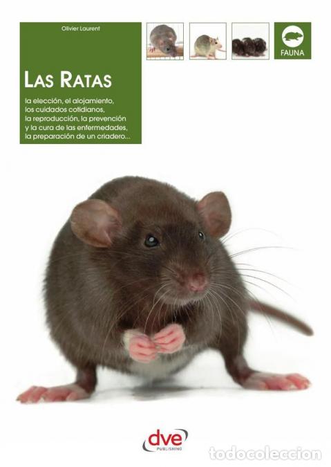 Livros: Las ratas - Olivier Laurent