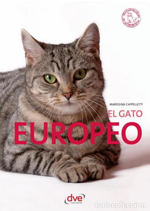 Libri: El Gato Europeo - Mariolina Cappelletti
