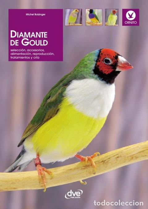 B&uuml;cher: Diamante de gould - Michel Bolzinger