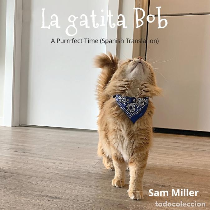 Livres: La gatita Bob - ni&ntilde;o beb&eacute; libro prekinder Jard&iacute;n infantil ni&ntilde;a - Sam Miller
