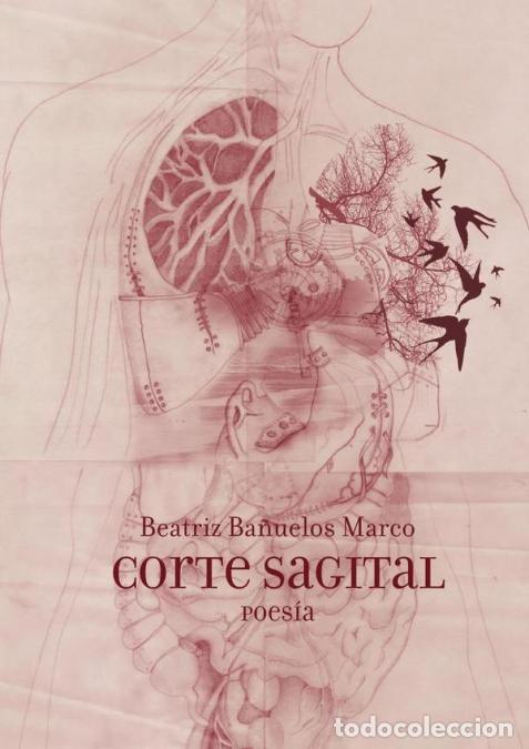 Livros: Corte Sagital - Beatriz Ba&ntilde;uelos Marco