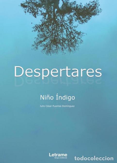 Libros: Despertares - Ni&ntilde;o &Iacute;ndigo Julio C&eacute;sar Fuentes Dom&iacute;nguez