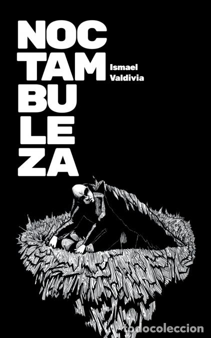 B&uuml;cher: Noctambuleza - Ismael Valdivia