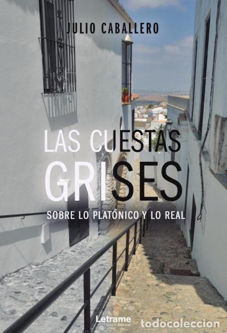 Libri: Las cuestas grises - Julio Caballero
