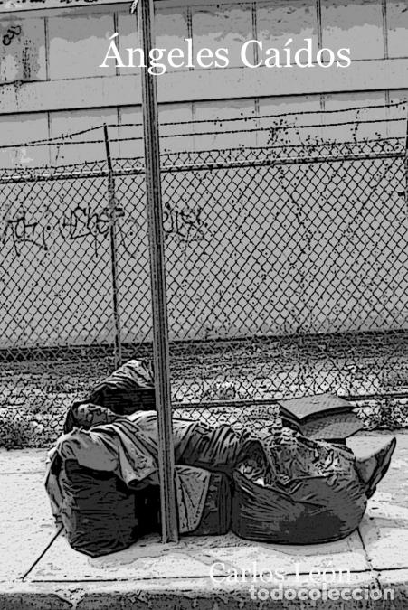 Libros: &ccedil;ngeles Ca?dos - Carlos Leon - Foto 1