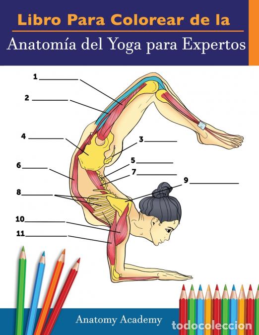 Libros: Libro Para Colorear de la Anatom&iacute;a del Yoga para Expertos - 50+ Ejercicios de Colores con Posturas d