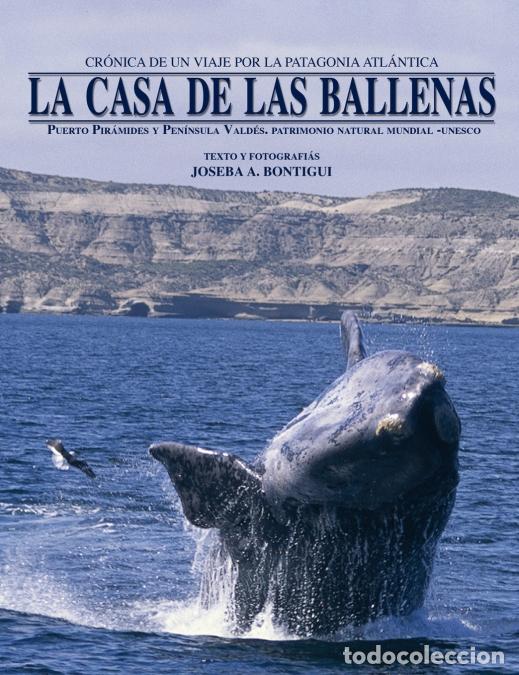 Libri: La casa de las ballenas - Joseba Andoni Bontigui Eskisabel
