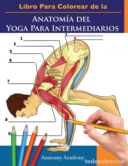 Libri: Libro Para Colorear de la Anatom&iacute;a del Yoga Para Intermediarios - 50+ Ejercicios de Colores con Post