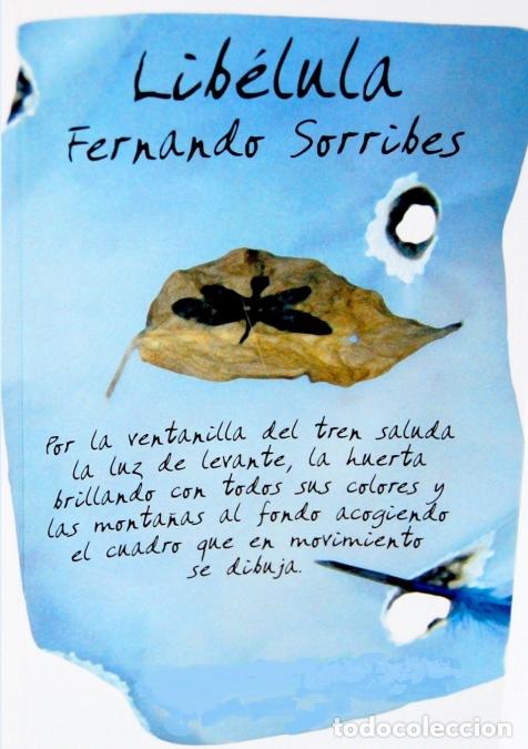 Libros: Lib&eacute;lula - FERNANDO SORRIBES MONRABAL - Foto 1