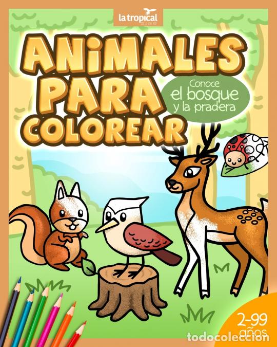 Libros: Animales para Colorear. Conoce el bosque y la pradera - Libro de animales silvestres para ni&ntilde;os y ni