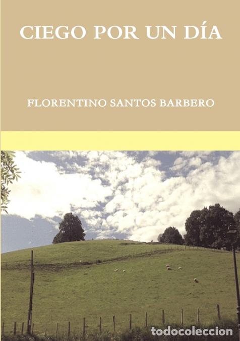 books: CIEGO POR UN D&Iacute;A - Florentino Santos Barbero