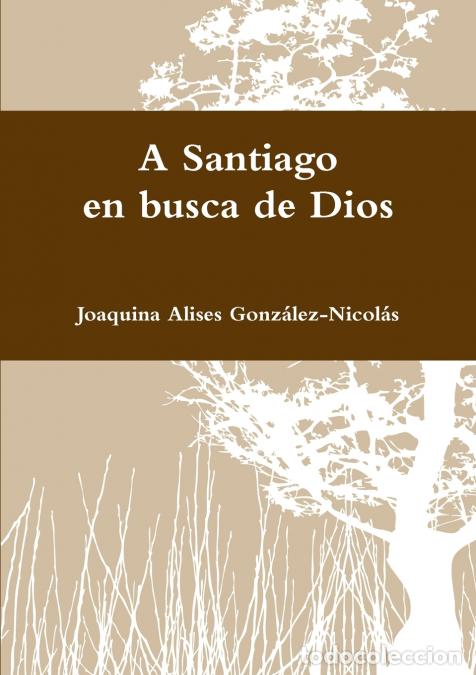Livros: A Santiago en busca de Dios - Joaquina Alises Gonz&aacute;lez-Nicol&aacute;s