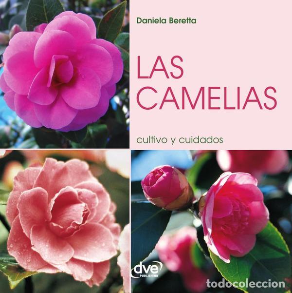 Libros: Las camelias - Daniela Beretta - Foto 1