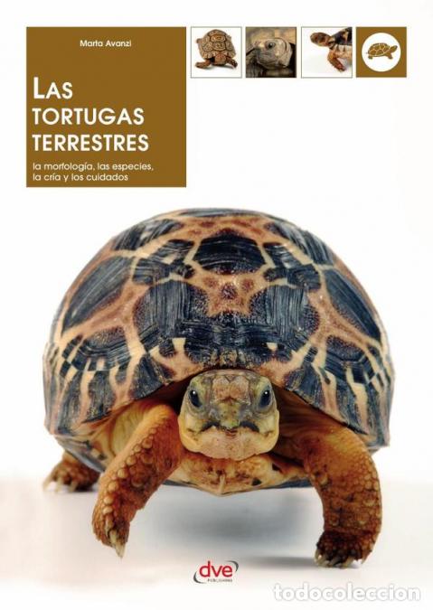 Libros: Las tortugas terrestres - Marta Avanzi - Foto 1