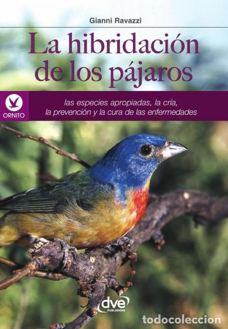 Libri: La hibridaci&oacute;n de los p&aacute;jaros - Gianni Ravazzi