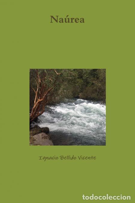 B&uuml;cher: Na&uacute;rea - Ignacio Bellido Vicente