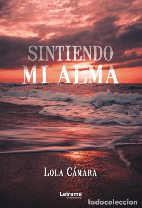 Livres: Sintiendo mi alma - Lola C&aacute;mara