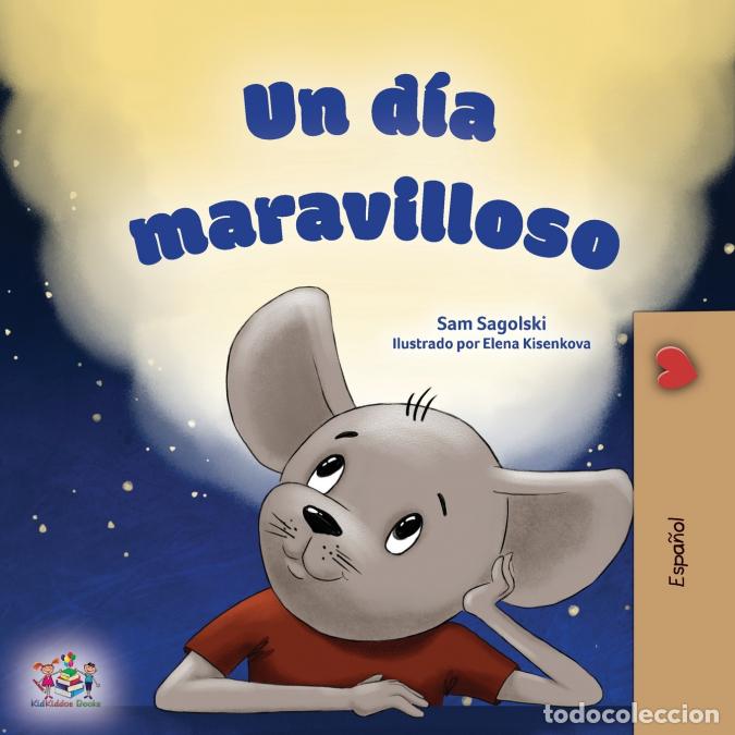 Libri: A Wonderful Day (Spanish Children?s Book) - KidKiddos Books,Sam Sagolski