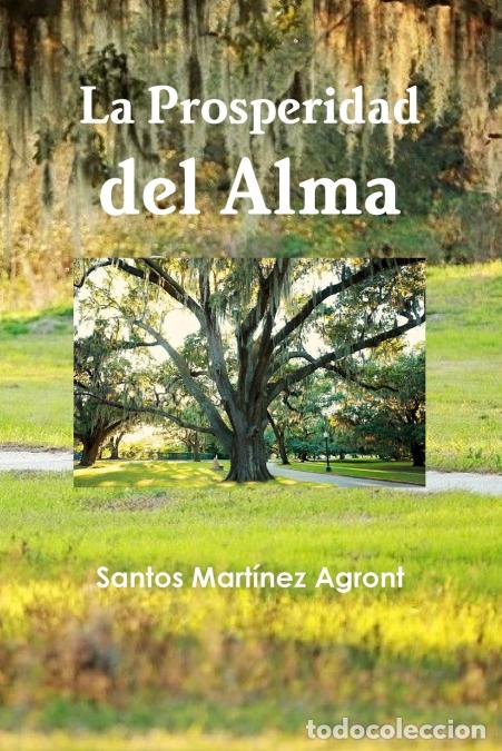 Libros: La Prosperidad del Alma - Santos Mart&iacute;nez Agront - Foto 1