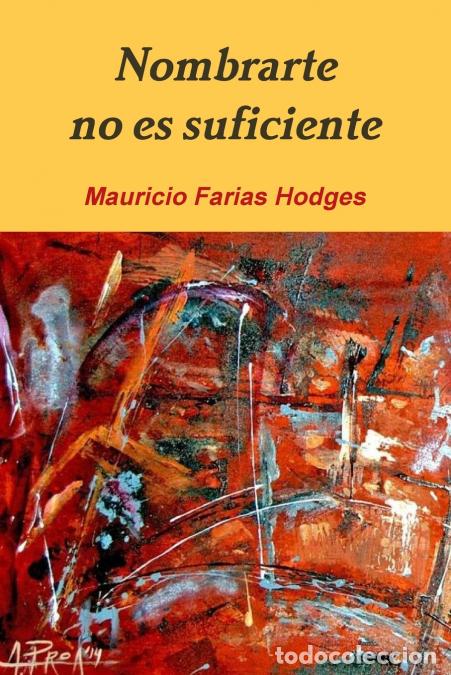 Livres: Nombrarte no es Suficiente - Mauricio Farias Hodges