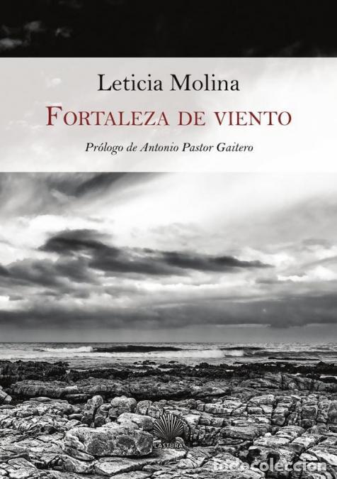 Livres: Fortaleza de viento - LETICIA MOLINA
