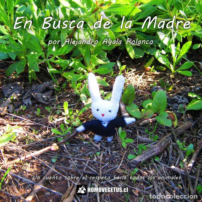 Libros: En Busca de la Madre - Alejandro Ayala Polanco - Foto 1