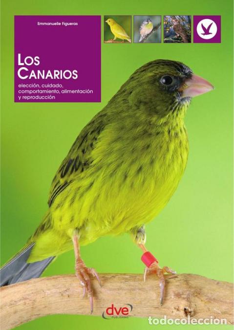 B&uuml;cher: Los canarios - Emmanuelle Figueras
