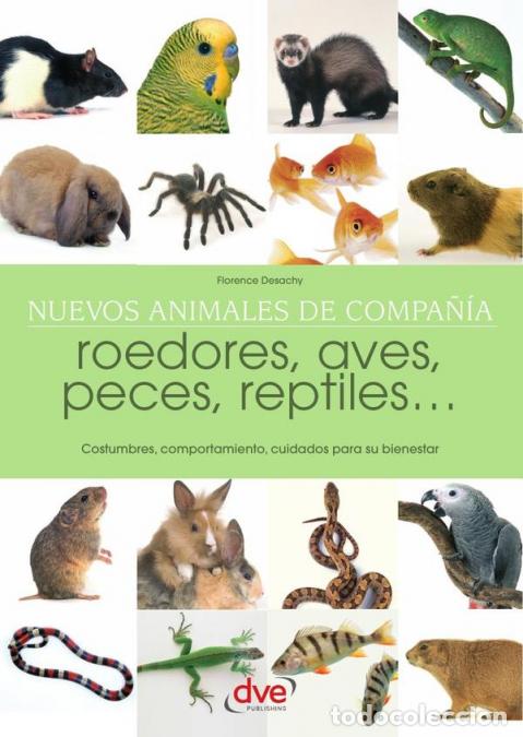 Libros: Nuevos animales de compa&ntilde;&iacute;a - Florence Desachy - Foto 1