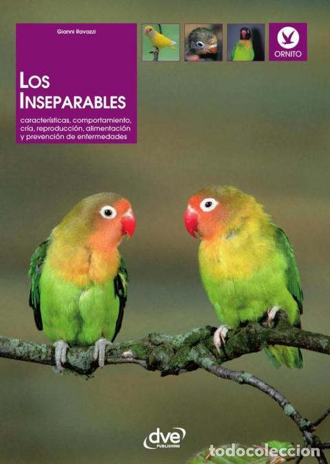 Libri: Los inseparables - Gianni Ravazzi
